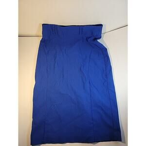 Avenue Collection Womens A Line Blue Skirt Size S